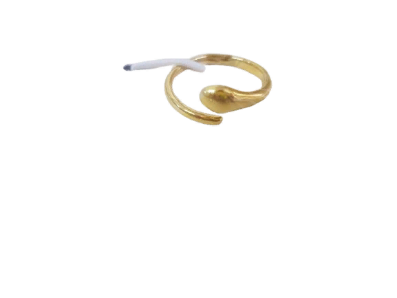 golden-ring-classic-zoom-removebg-preview